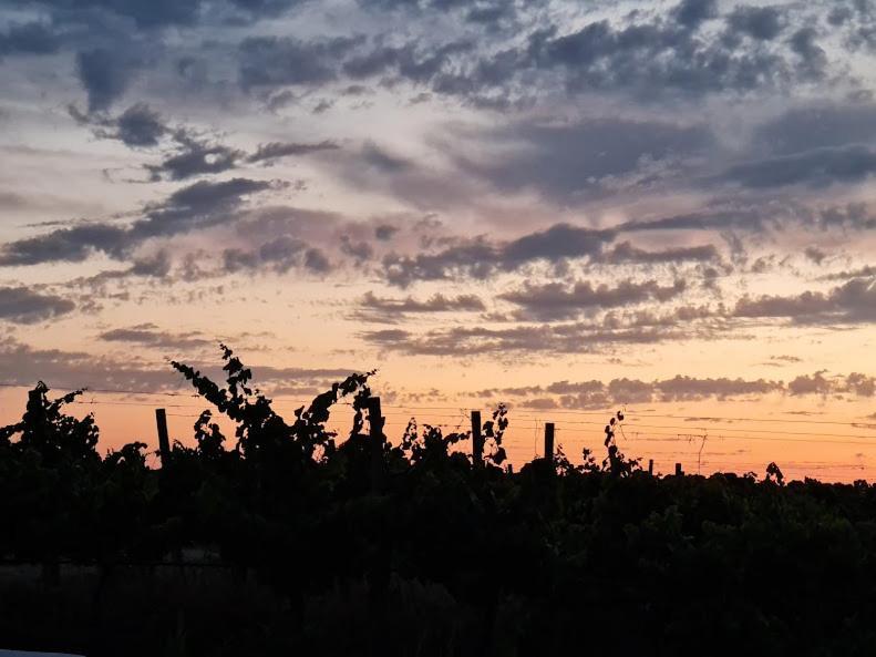 Herdade Das Castas Nobres Redondo Buitenkant foto