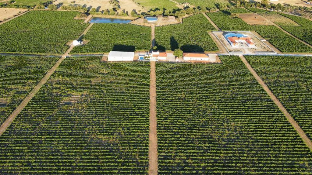 Herdade Das Castas Nobres Redondo Buitenkant foto